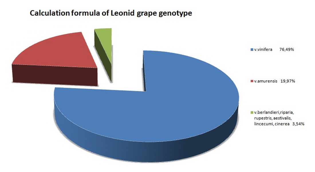 Leonid ang