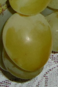 ALB kod 220